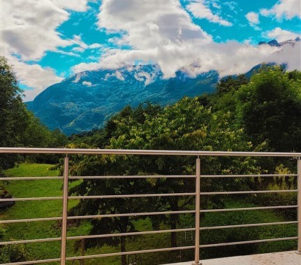 The View