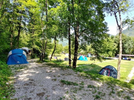 KAMP11