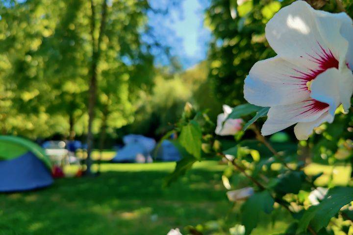 Why spring camping in Soča Valley is the Ultimate Adventure