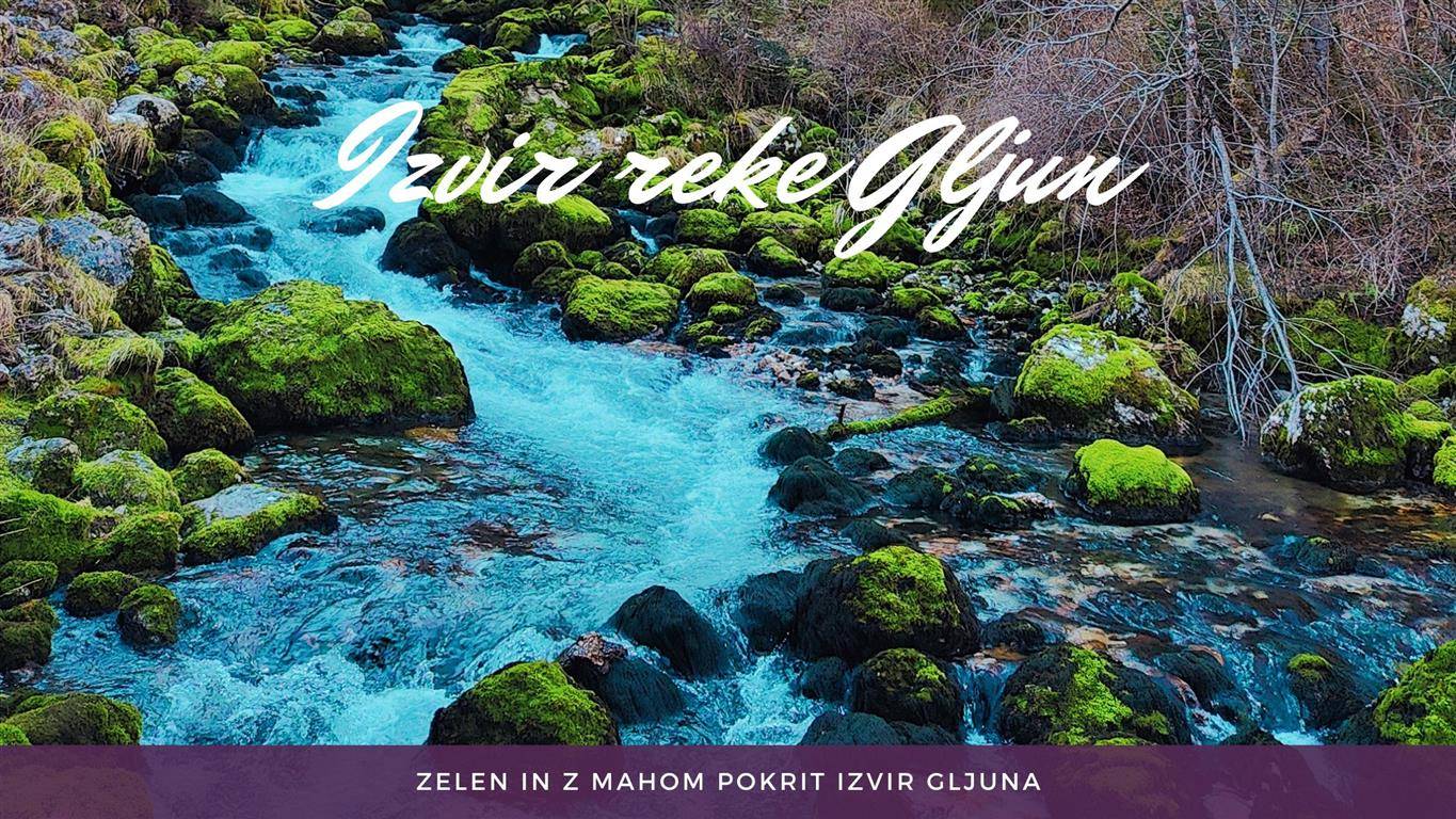 Izvir reke Gljun