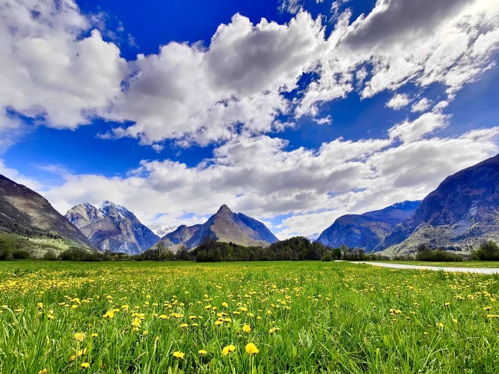 Wide spring meadow with yellow flowers in the Soča Valley, surrounded by mountains under a dramatic blue sky with clouds.