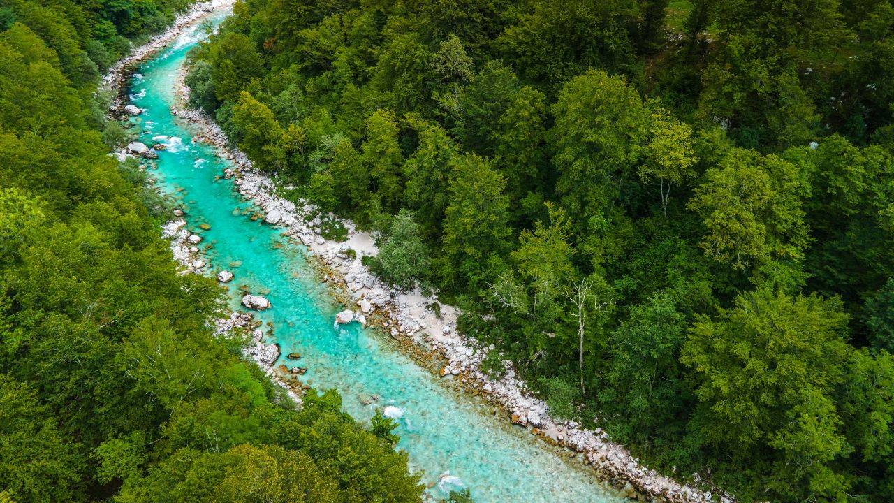 Aerial view of the emerald Soča River flowing through a green forest valley in Bovec Slovenia